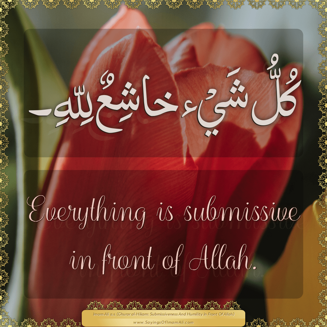 Everything is submissive in front of Allah.